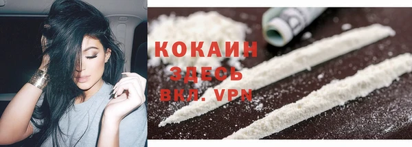 ГАЛЛЮЦИНОГЕННЫЕ ГРИБЫ Абаза