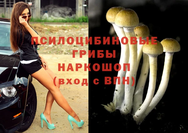 ГАЛЛЮЦИНОГЕННЫЕ ГРИБЫ Абаза