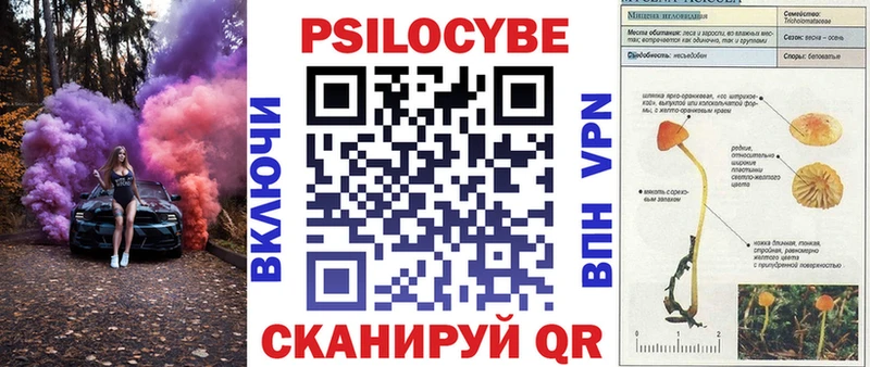 Псилоцибиновые грибы Psilocybe  Пучеж 
